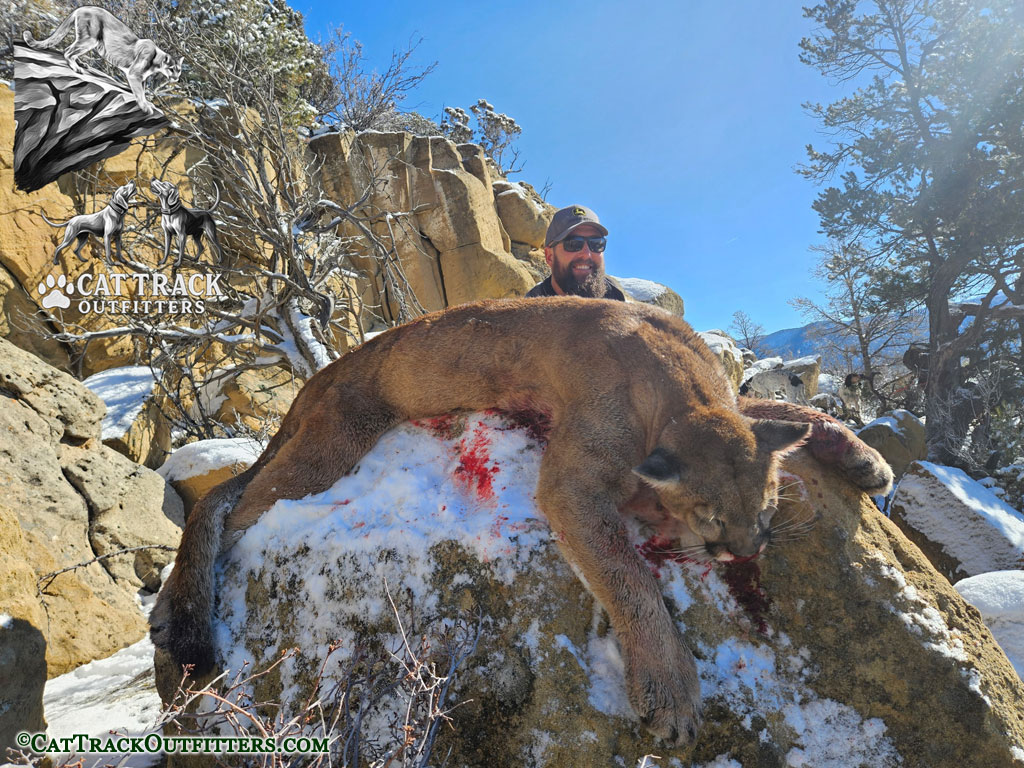 Mountain Lion Hunt with experienced guides at Cat Track Outfitters